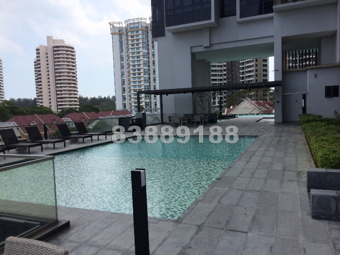 Meier Suites (D15), Condominium #517222